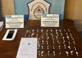 Allanaron una vivienda en Berazategui y secuestraron 55 dosis de cocaína